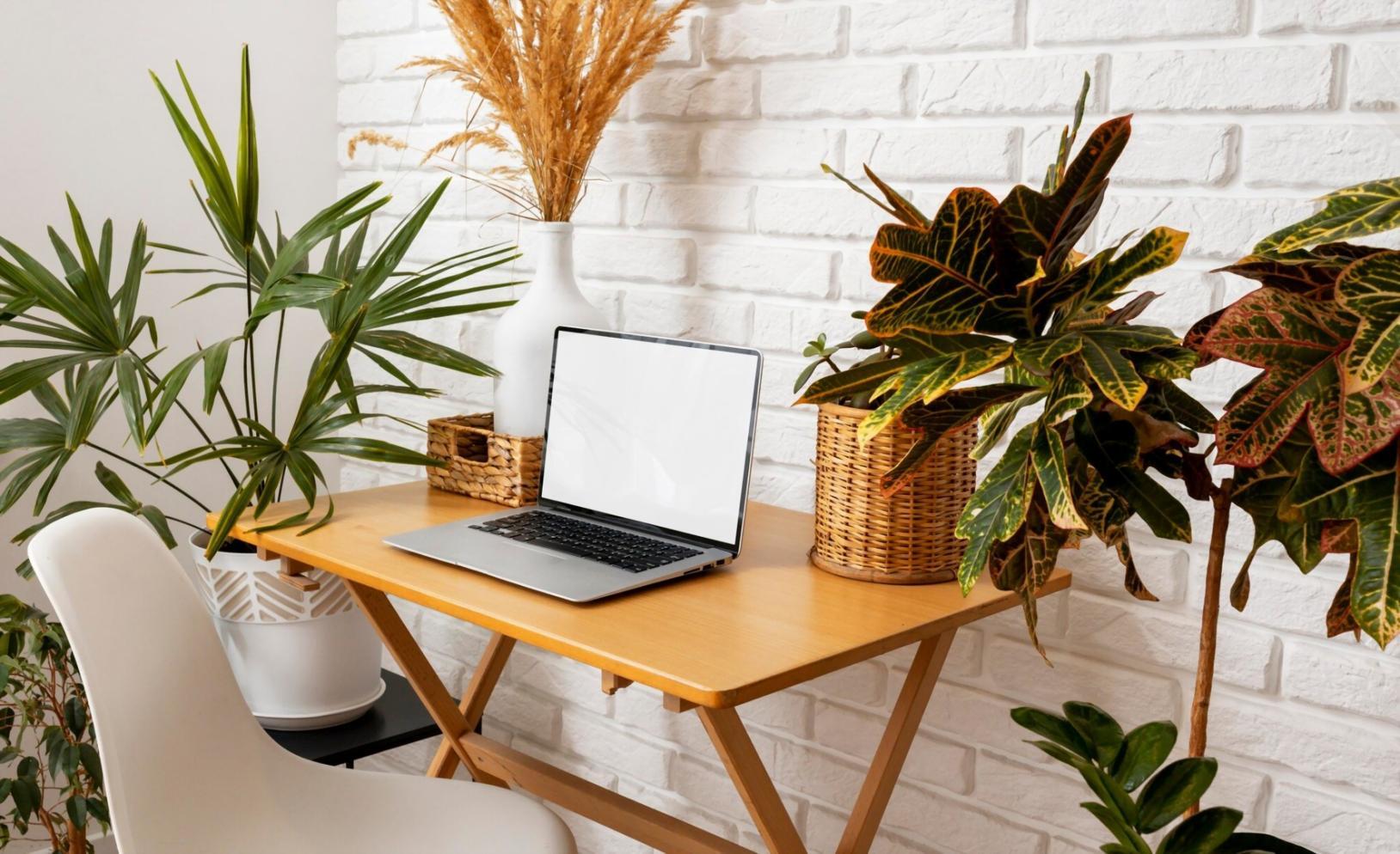 Professionelles Arbeitsumfeld für Finanzmodellierung